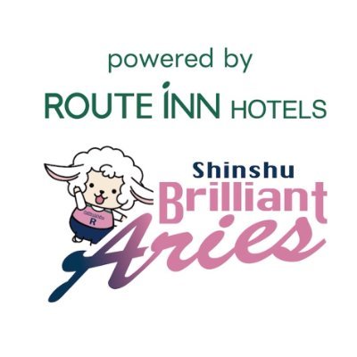 routeinn_volley's profile picture