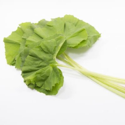 ふき's profile picture