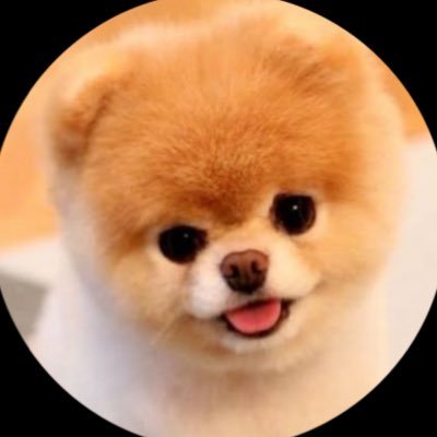 agahq33's profile picture