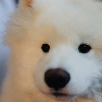 lostzawg's profile picture