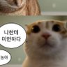 Profilbild von 김정민