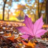 Autumn Vibes 45 ⭐🩵(🐈) profil fotoğrafı