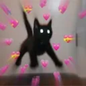 ₊˚⊹ tima ⊹˚₊ 的头像