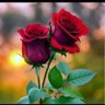 Фото профиля السبع