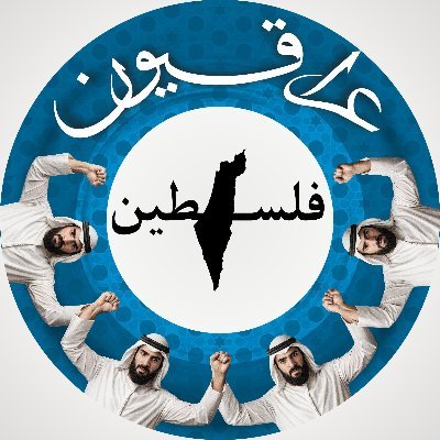 mohgared's profile picture