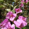x27sun 的头像