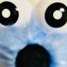 Profilbild von 匡