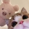 Profilbild von Mili
