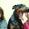 Leonor Maria Cardoso's profile picture