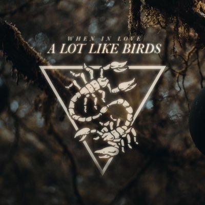 alotlikebirds's profile picture