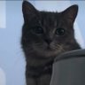 Profilbild von Zzzy