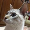 かず 的头像