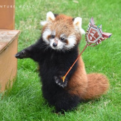 Shelomfv's profile picture