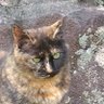 にーたく 的头像