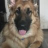 B's profile picture