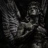 Mesomorph's profile picture