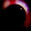 R_T_M's profile picture