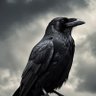 Guardian de la Noche's profile picture