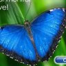 Фото профиля Meli Aryanti
