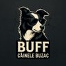 Câinele Buzac's profile picture
