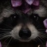 Kai's profile picture