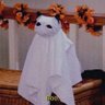 María 🎃's profile picture