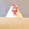 Profilbild von C