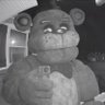 FedericoFazbear ★'s profile picture