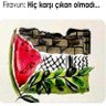dirilişşşşş🇹🇷🍎🍉 profil fotoğrafı