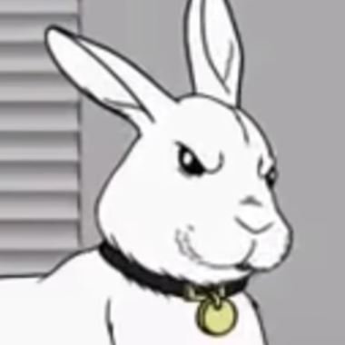 NNotARabbit's profile picture