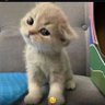 exocia_ profil fotoğrafı