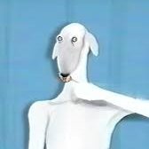 PobreHambreado's profile picture