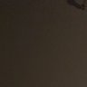 𝕐𝕦𝕞𝕚𝕜𝕠 𝕎𝕠𝕠 profil fotoğrafı