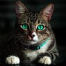 Profilbild von CUBIC3