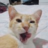 bia profil fotoğrafı