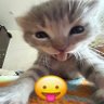 adulta rebaixada⁵ ⦿ ☰ ☲ profil fotoğrafı