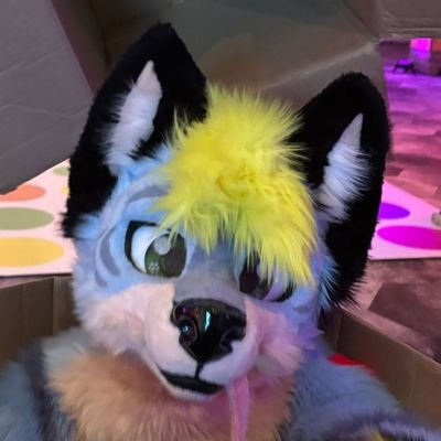 Caertha's profile picture