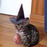 Louth's profile picture