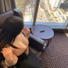 BBW우유🍼 profil fotoğrafı