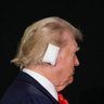 EarWig's profile picture