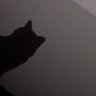 TR's profile picture