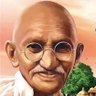 S. Diwan's profile picture