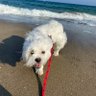 たかぽん's profile picture