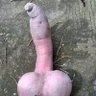 Cừu 的头像