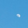 Evening Moon's profile picture
