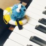 ド・レ・ミ・ふわぁ~🎹 profil fotoğrafı