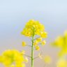 Фото профиля とい
