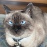 あ's profile picture