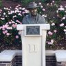 Profilbild von Bust of Wallace Wade