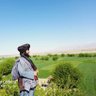 نظامي مجاهـد profil fotoğrafı